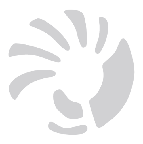 Kokopelli Print Grey Logo