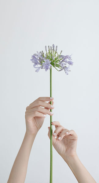 Purple flower