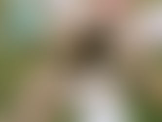 The Power of a Bridal Blessing Ceremony