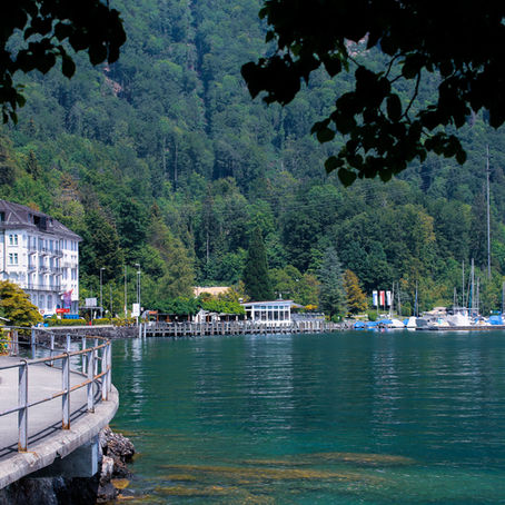 Swiss Educational College: A Smart Choice for Business and Hospitality Studies Abroad