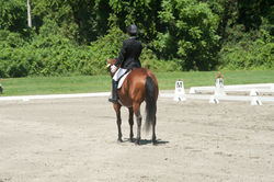 Final salute, July GMHA, 2011. copy.jpg