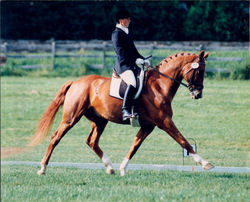 Detente and Joy copy.jpg