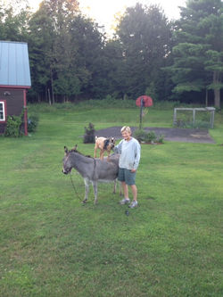 Sue Fowler and friends copy.jpg