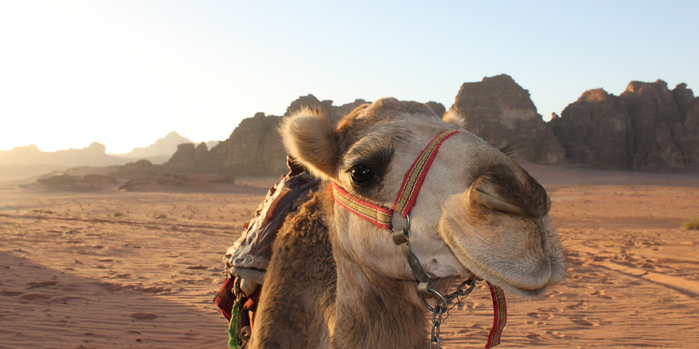 YOGA - KULTURREISE TIL JORDAN