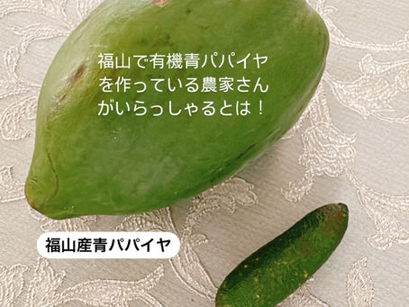 青パパイヤ