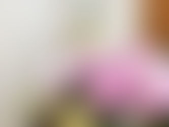 本日5月24日1周年を迎えました!