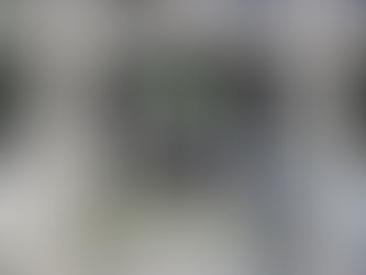 氏神さんにご挨拶