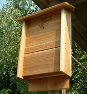 med-bat-house-2m.jpg