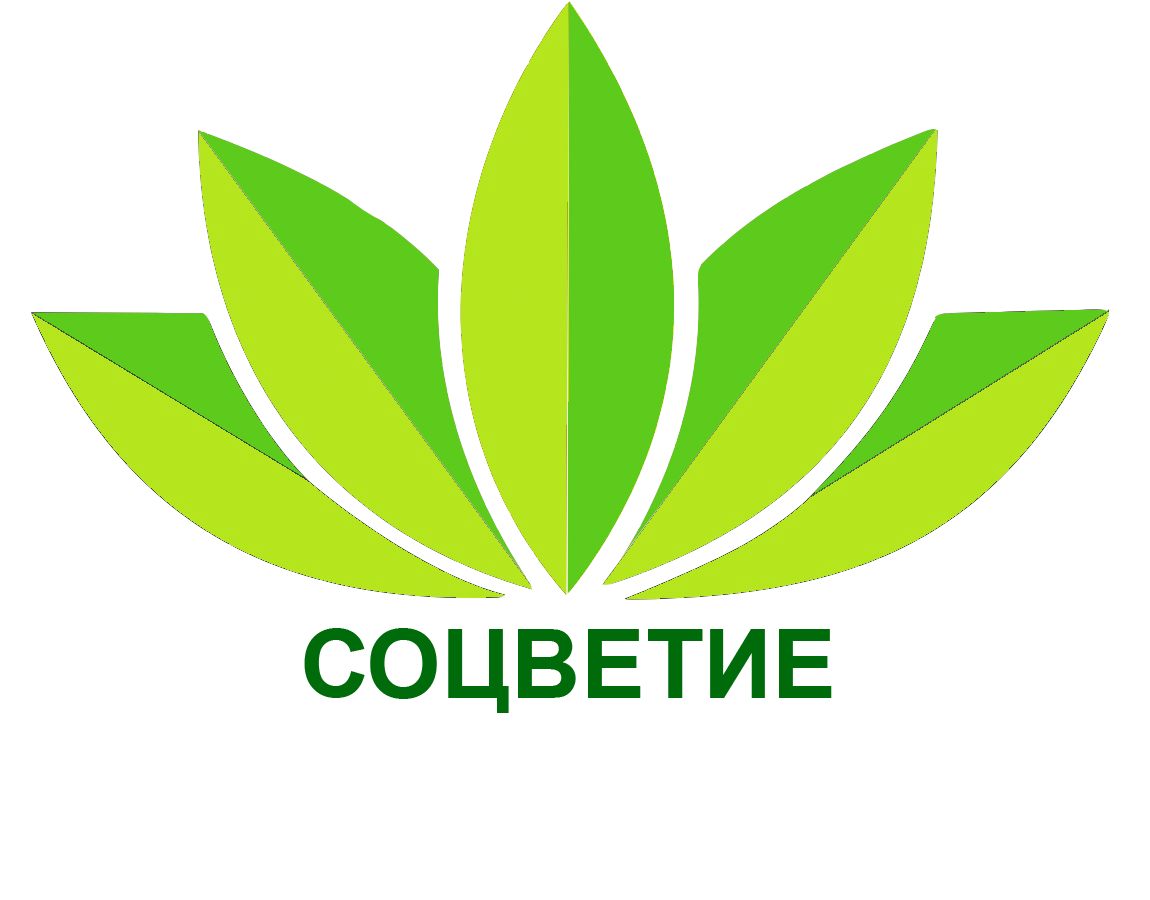 ПИТОМНИК РАСТЕНИЙ | СОЦВЕТИЕ