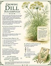 ch 10 growing dill.png