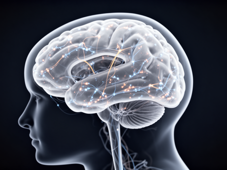 Scientific visualization of a human brain and neural activity representing neuroscience research into the mind and self.