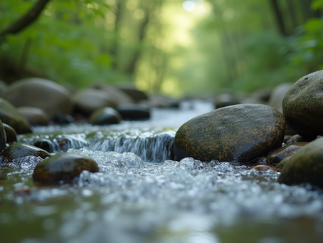 Embracing the Five Elements of Ayurveda for Holistic Wellness