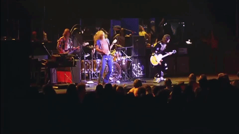 giphy (18).gif