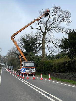cherrypicker