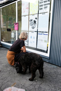 Copy of DSCF5196.jpg