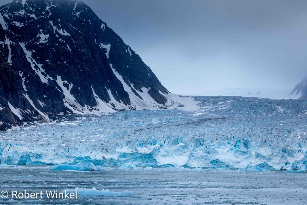 Monacobreen