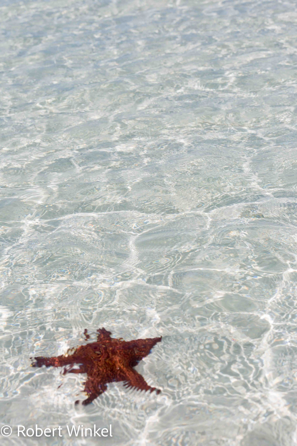 Playa Sirena-3