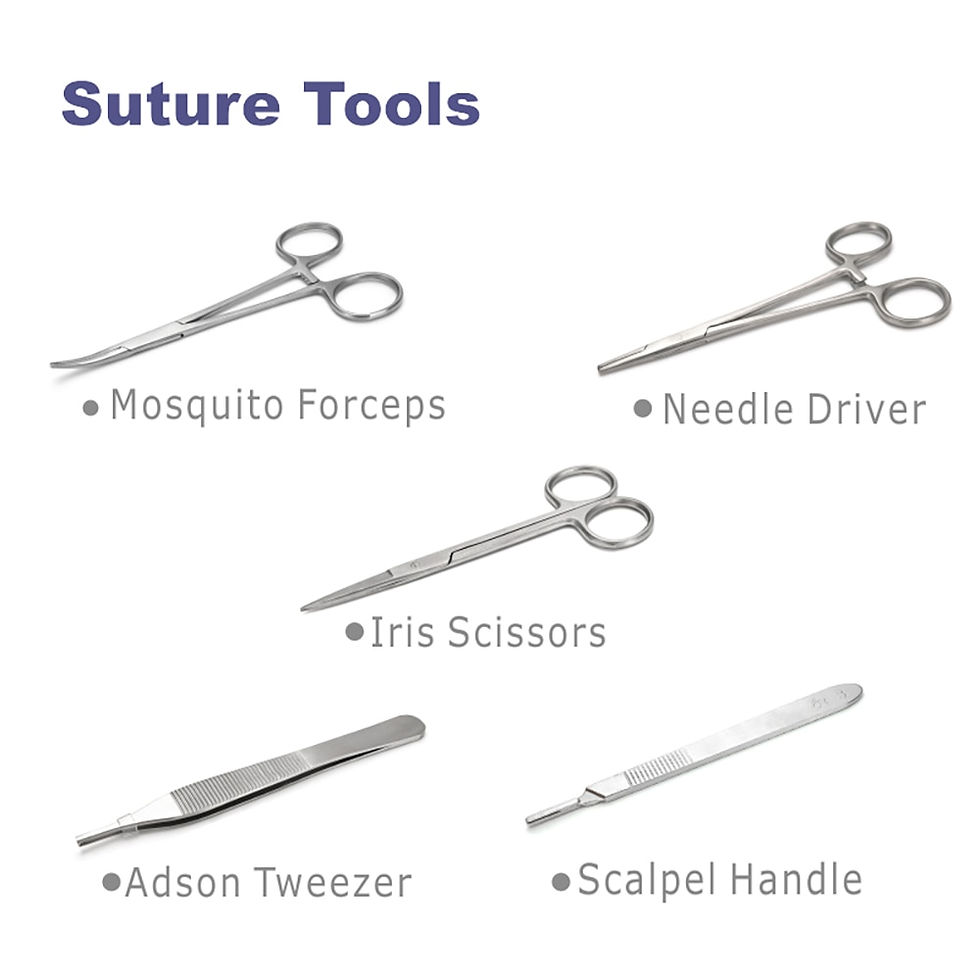 Thumbnail: Medical Students Suture Practice Kit Surgical Training With Skin Pad