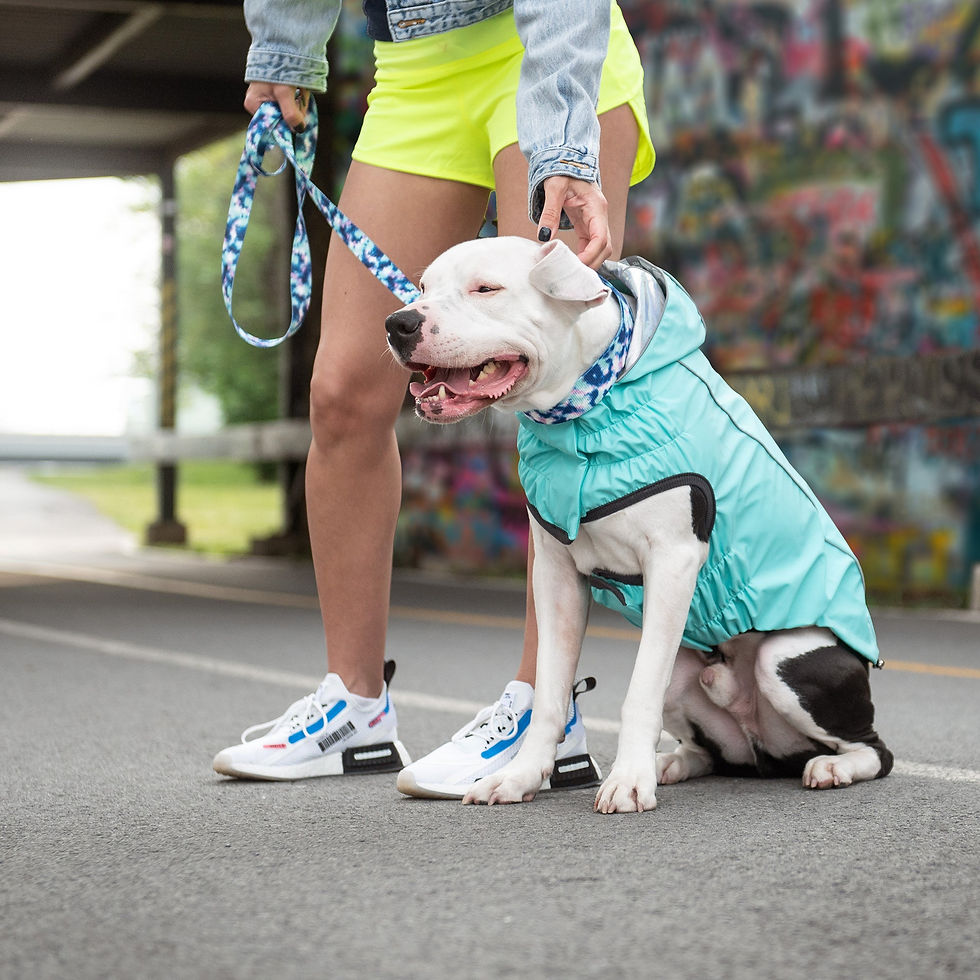 Miniaturbild: Reversible Raincoat - Neon Aqua With Iridescent