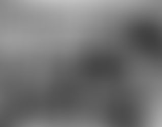 The Essential 10: The Replacements