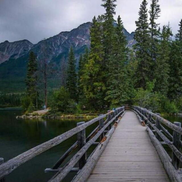 Wooden bridge leading into forest and mountains
