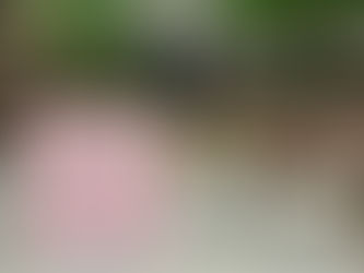 Adynata Octubre / MP