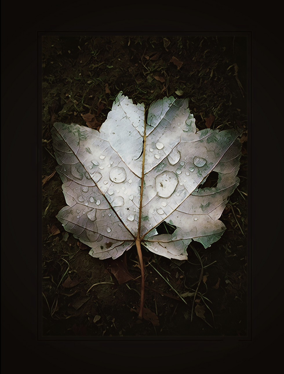 Lágrimas y ternura de cara al dolor: clínica y escritura en Anne Dufourmantelle* / Ana Hounie