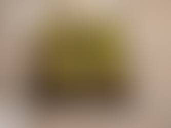 La vida de las plantas (prólogo) / Emanuele Coccia