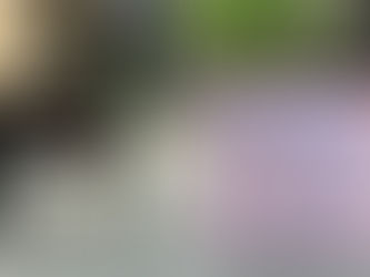 Octubre Adynata / VPS