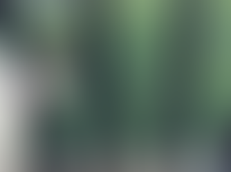 Ordalía / Eduardo Magoo Nico