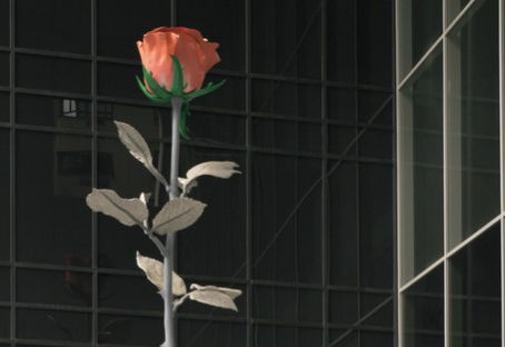 Rosa Luxemburgo y el ecosocialismo: un amor correspondido / Hernán Ouviña