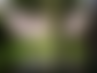 Limonada / Raymond Carver