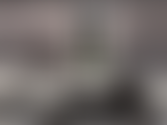 El lenguaje de la transdisciplinariedad / Roberto Juarroz