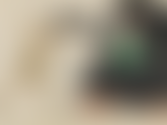 Zaratustreanas IV De leones y dragones / Fernando Stivala