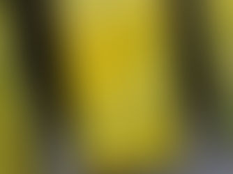 Poesía como arte insurgente / Lawrence Ferlinghetti