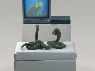 Tapa y contratapa / Cora Gamarnik