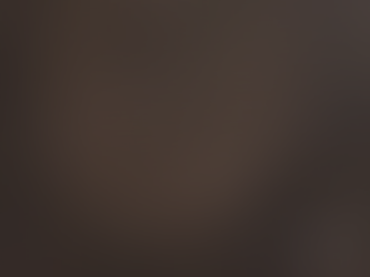 Lo intacto (selección) / Claudia Masin