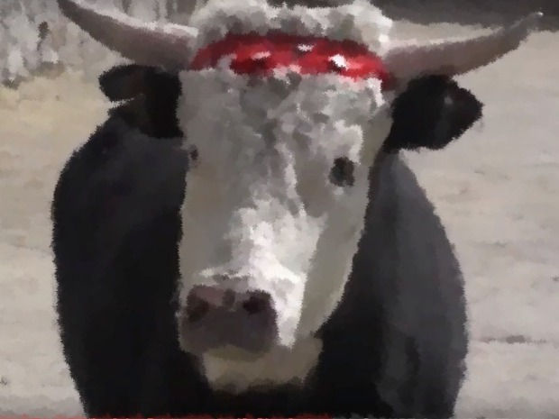 Leche cuajada / V. Nicolás Koralsky