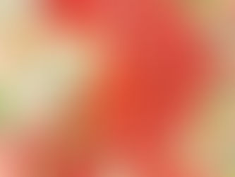 Elogio de los sueños / Wislawa Szymborska