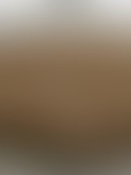 “Meursault”. Lo absurdo de la existencia / Lila Grandal