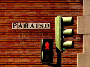 Nadie me quiere / Verónica Scardamaglia