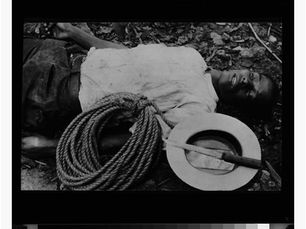 Del empuje de la vida que brota o ‹‹Archivida››* / Jean-Luc Nancy