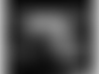 Del empuje de la vida que brota o ‹‹Archivida››* / Jean-Luc Nancy