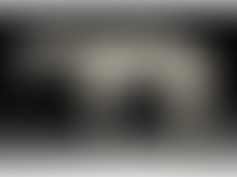 La helada / Claudia Masin