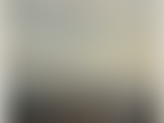 Sesiones en el naufragio (3) Debilidades/ Marcelo Percia