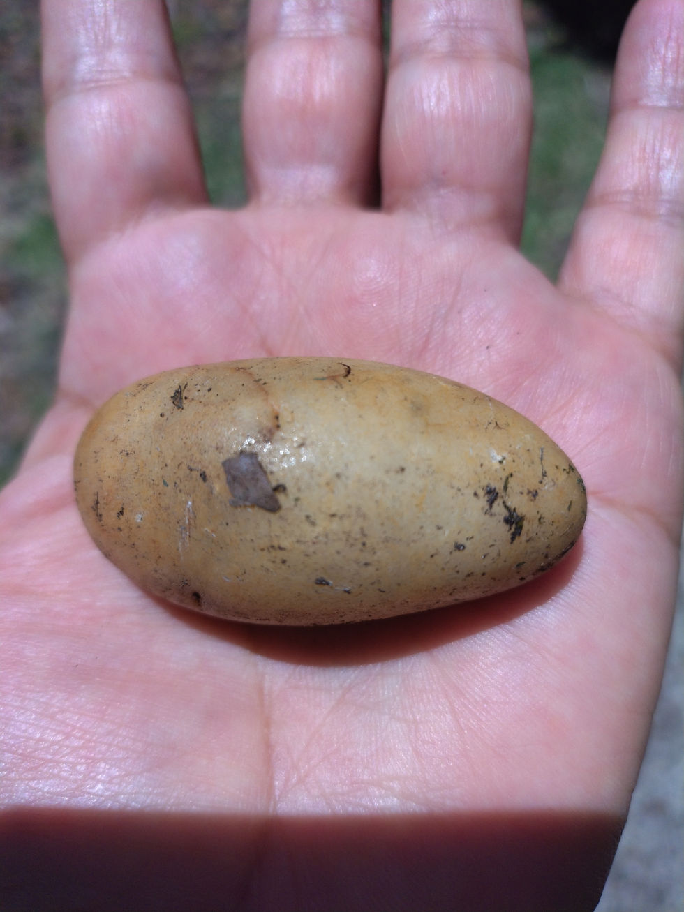 Reyna Paz. Fotografía, 2025.