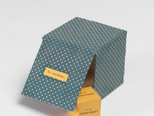 Simone Weil / Susan Sontag