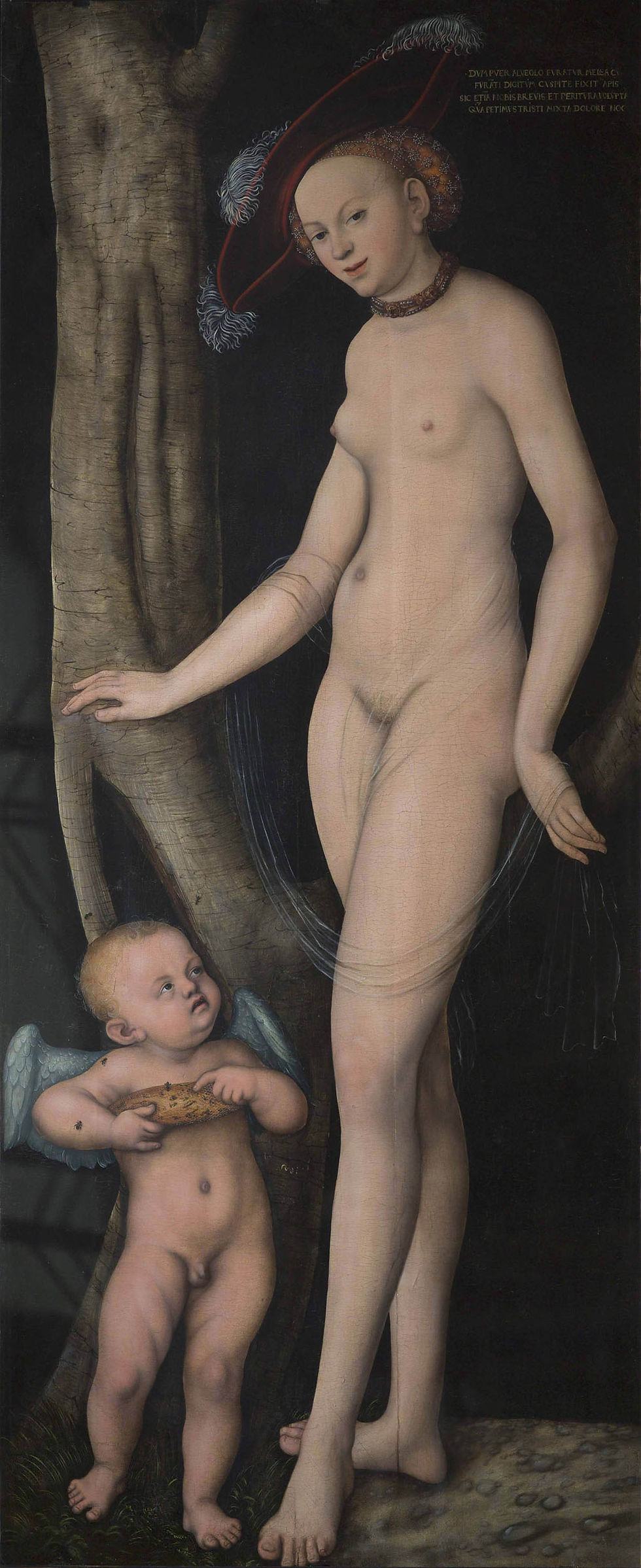 Venus y Cupido con un panal, 1531 Cranach Lucas el Viejo Roma: Galleria Borghese. 169 x 67 cm