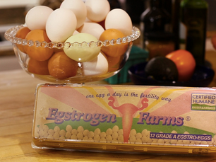 Diario íntimo / Ezequiel Ikonikoff