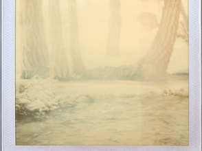 Enfrentar el horror cotidiano (Prólogo de Libro de Manuel) / Julio Cortázar